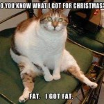 fat-cat-for-xmas_admin122213r4bbn