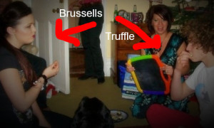 Brussels Truffles Roulette