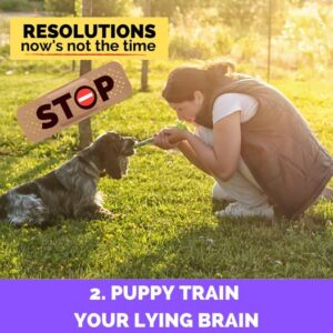 Puppy Train Your Lying Brain