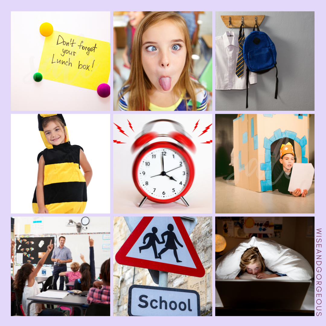 10 Back To School Tips Human Upgrade