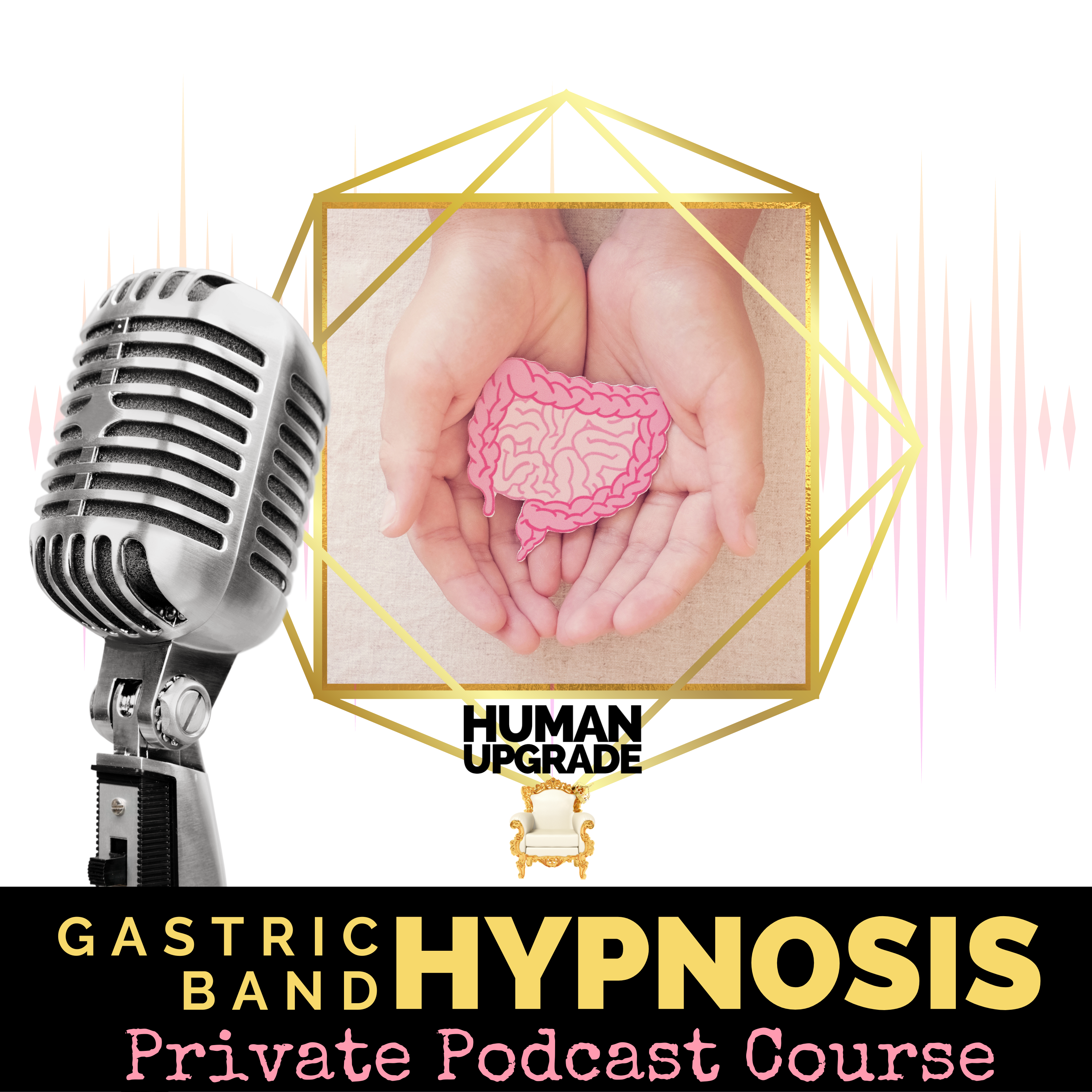 Gastric Band Hypnosis Audio pic