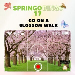 Go on a Blossom Walk