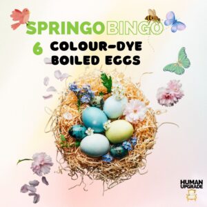 Colour Dyed Eggs